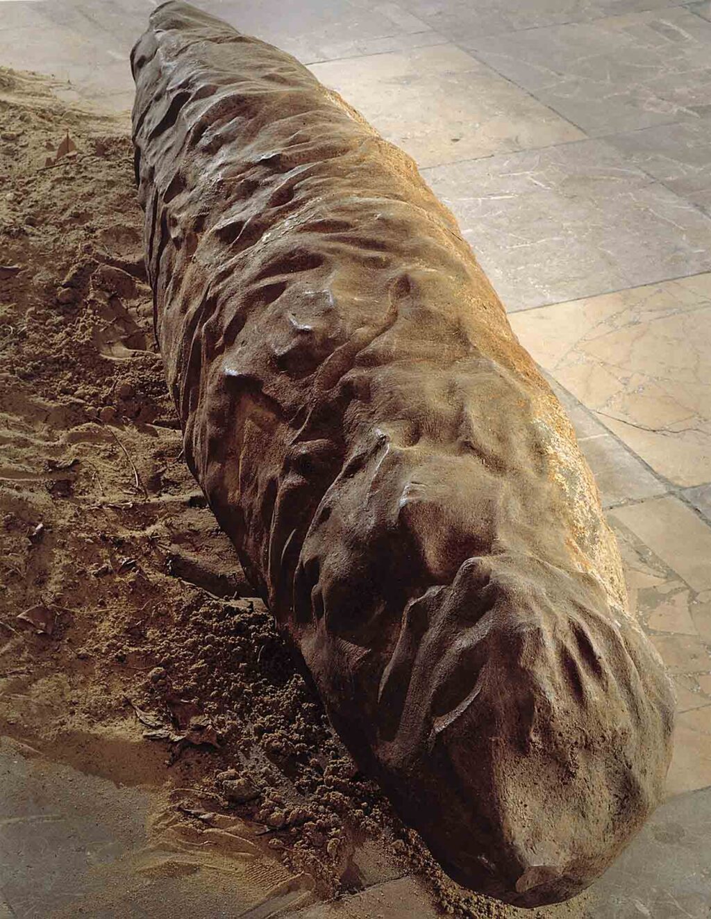 Robert Sobocinski, Le vehicule, 1985, farraille, 200x50x50 cm