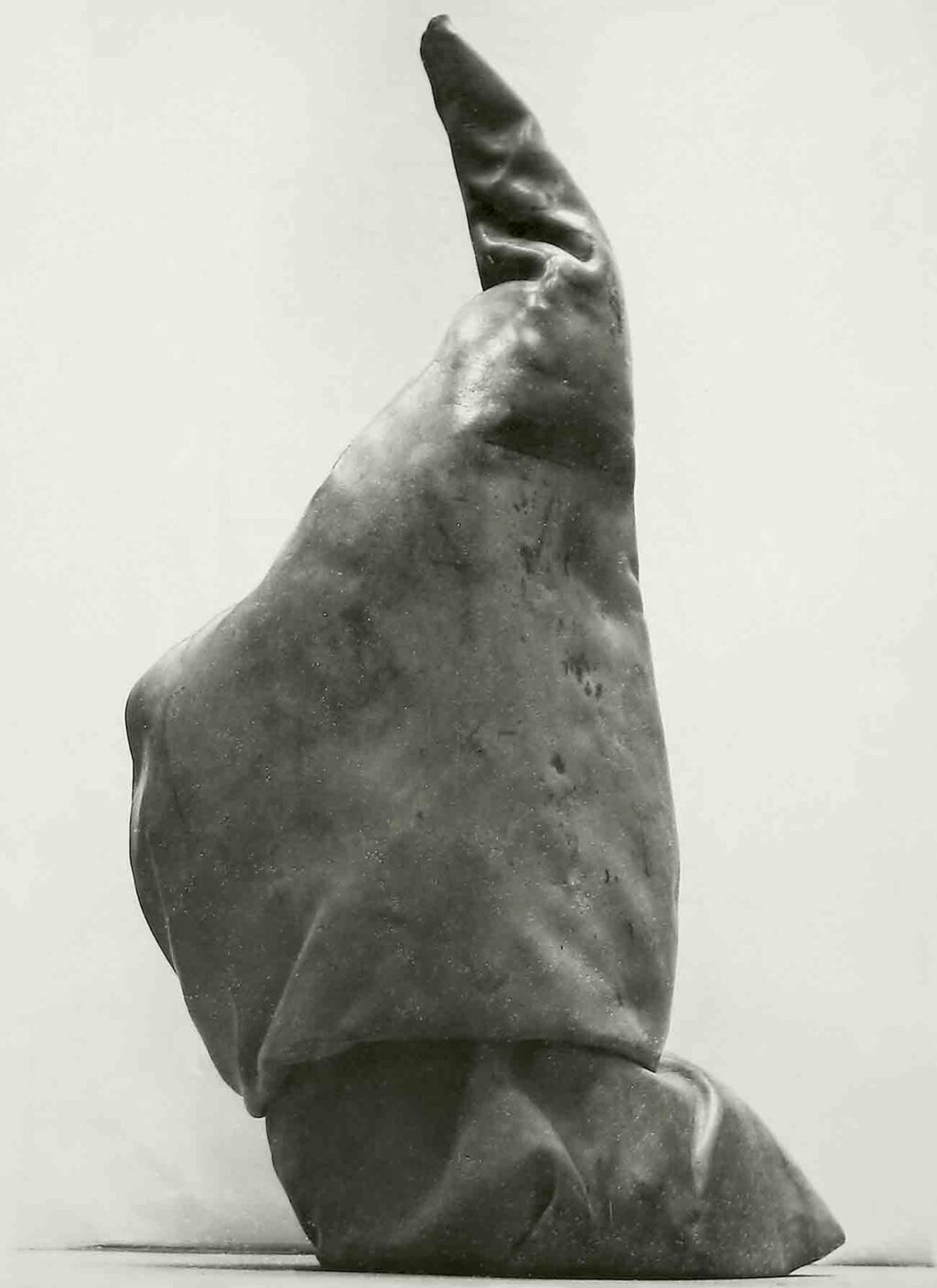 Robert Sobociński, Zwierzę powtórne, 1985, skóra, cement 150x120x100