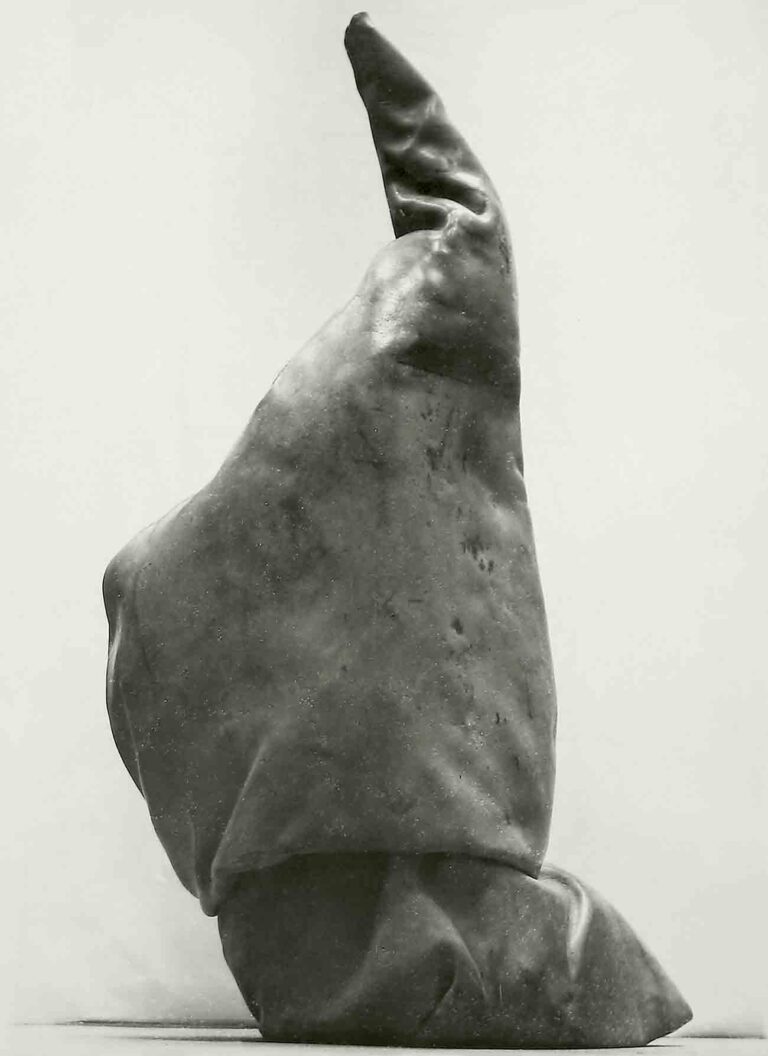 Robert Sobocinski, Reneved animal,1 985, cuire, ciment, 50x120x100 cm