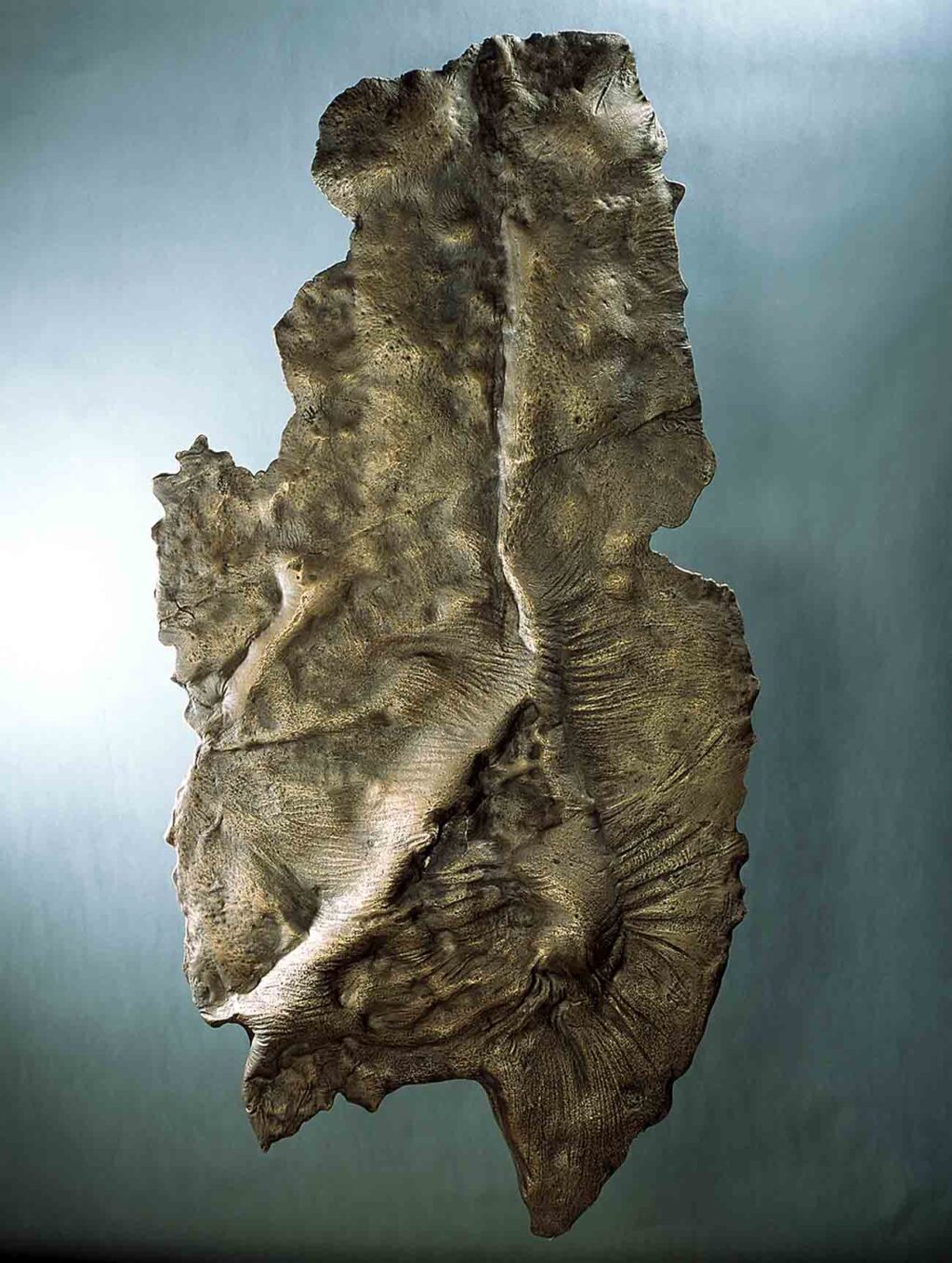 Robert Sobociński, Wenus IV, 1990, brąz, 125x65x6 cm