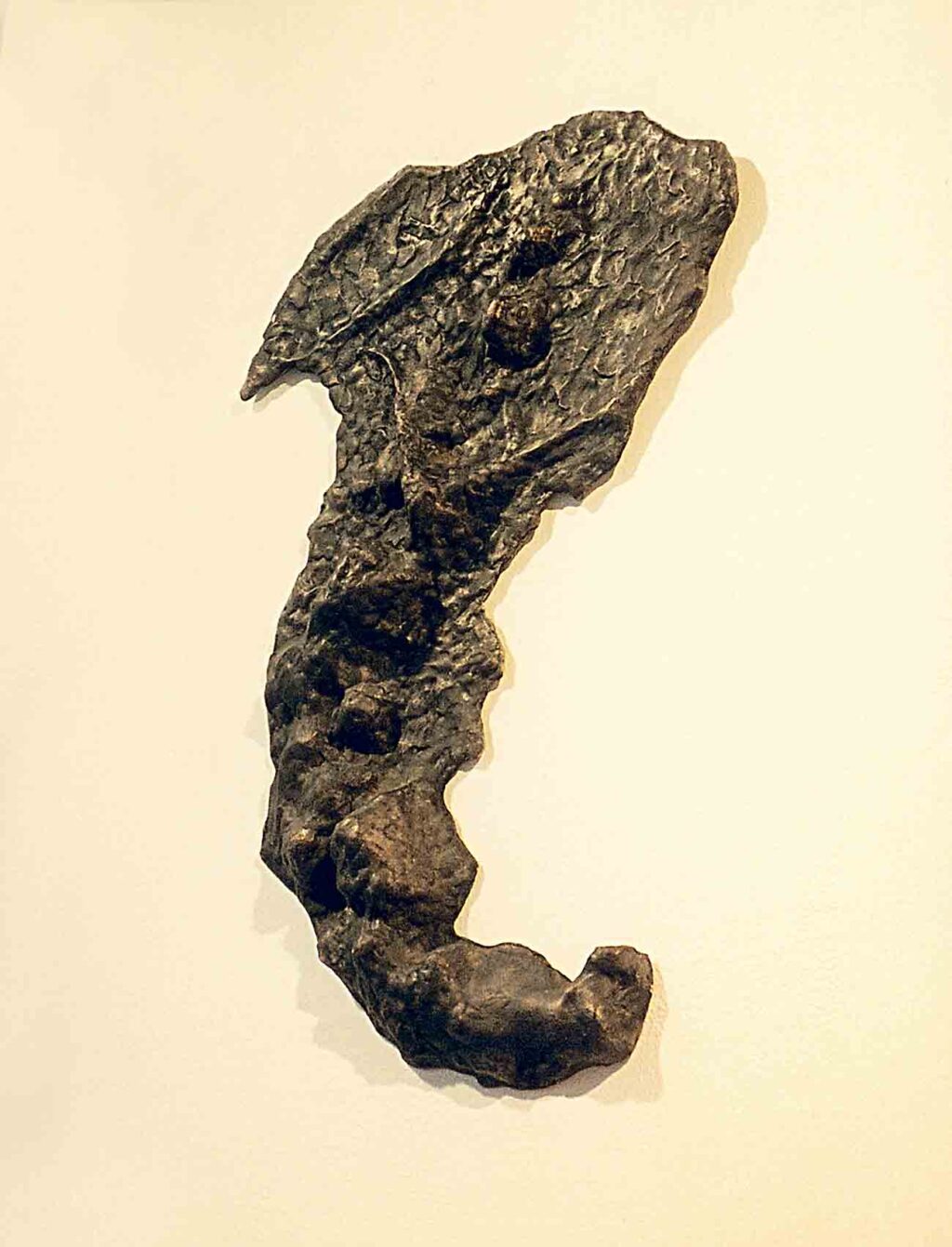 Robert Sobociński, Mątnia, 2002, brąz, 60x40x5 cm