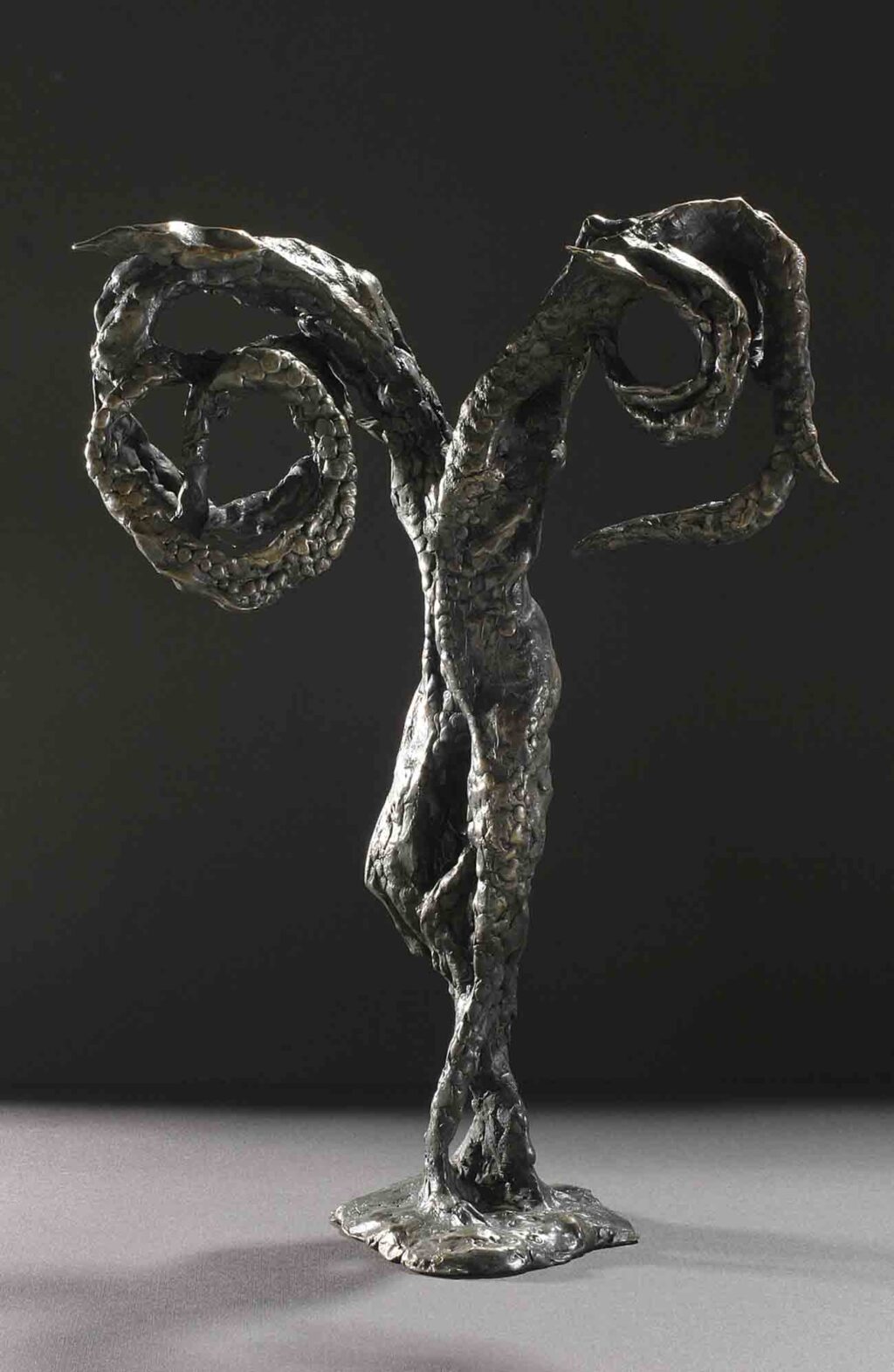 Robert Sobocinski, Le double, 2006, bronze, hauteur 48 cm