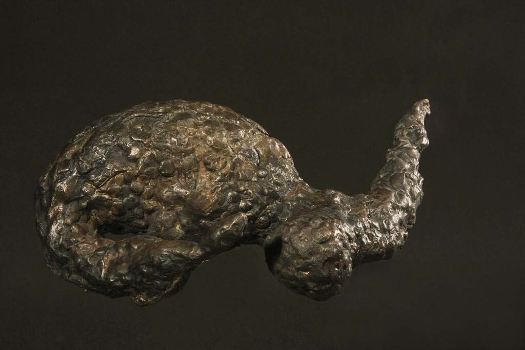Robert Sobocinski, Le dormant, bronze, 2008, 12 x 22 x 20 cm