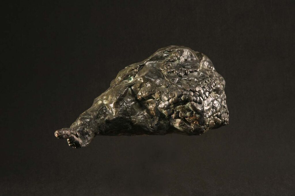 Robert Sobocinski, Le vivant, 2008, bronze, 12 x 32 x 16 cm